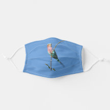 Pretty Lilac Breasted Roller Bird