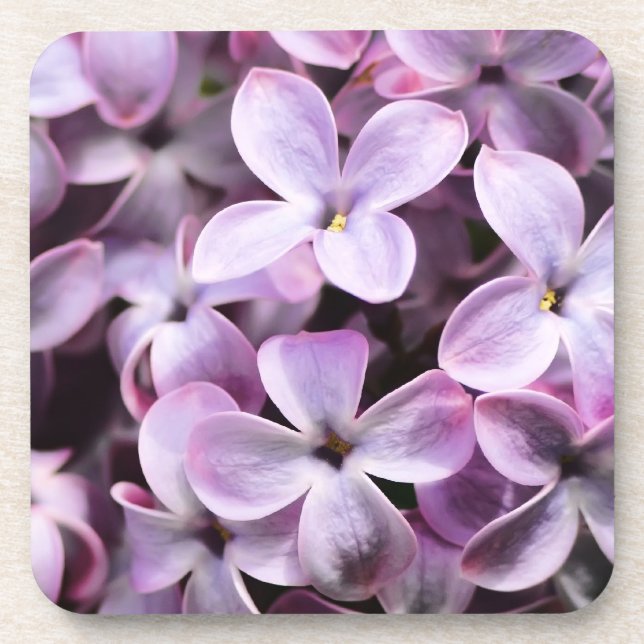 Pretty Lilacs Coaster (Front)