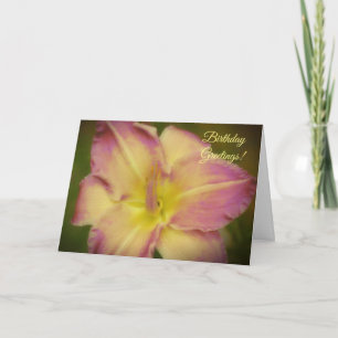 Pretty Lily Flower Pink and Yellow Birthday Card