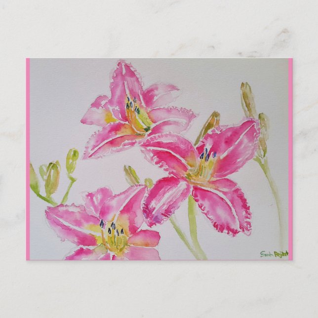 Pretty Lily In Pink Watercolor Painting Postcard (Front)