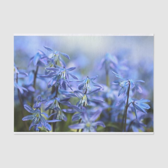 Pretty Little Blue Bells Tissue Paper (Front)