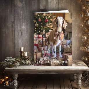 Pretty Little Goat - Is it Christmas Yet Card