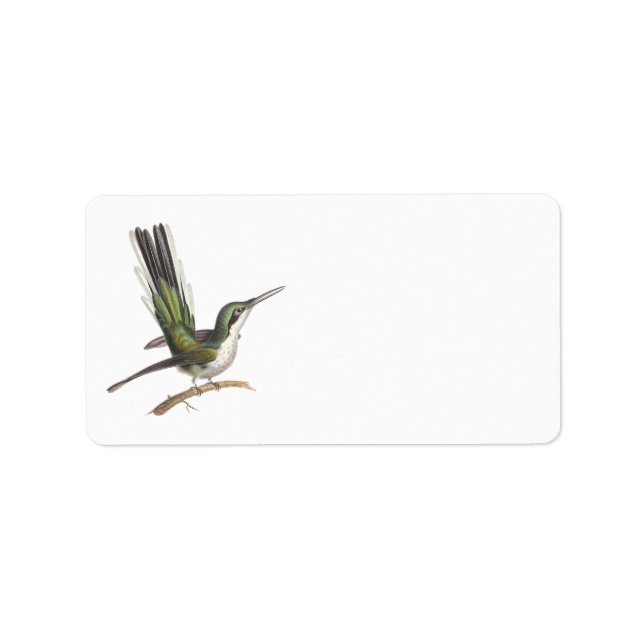 Pretty Little Green Hummingbird by Rene Lesson Label (Front)