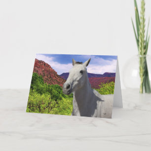 Pretty Little Grey Grey Pony with Big Eyes - Blank Card