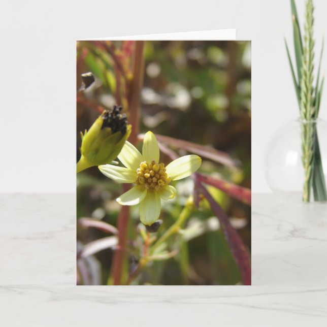 Pretty Little Yellow Flower Card (Front)