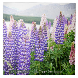 Pretty Lupins @ Lake Tekapo New Zealand Tile