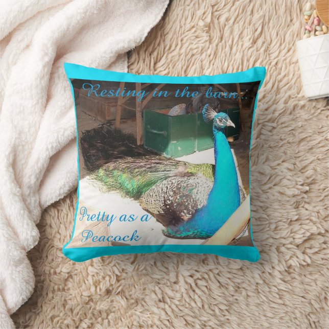 Pretty Male Blue Peacock Throw Pillow (Blanket)