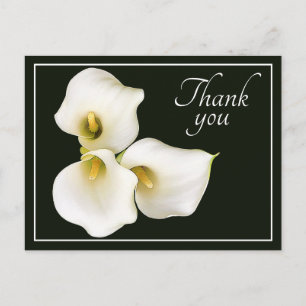 Pretty Modern White Calla Lily Botanical Thank You Postcard