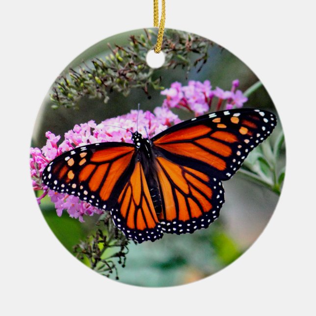 Pretty Monarch Butterfly Photo Ceramic Tree Decoration (Front)