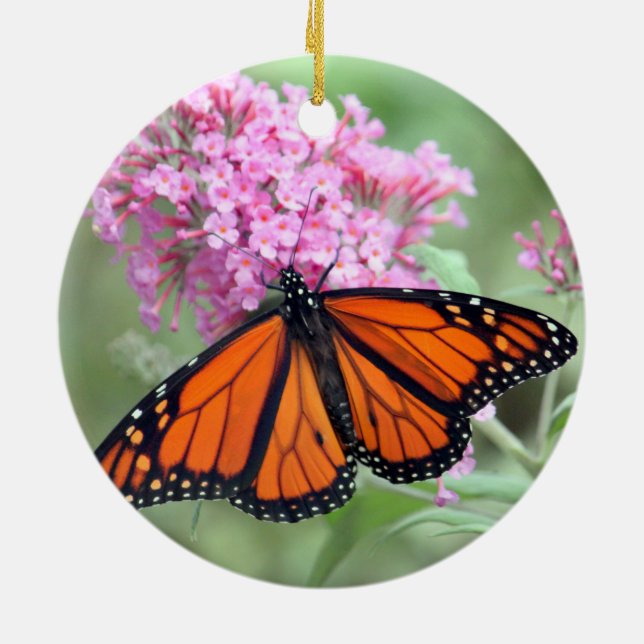 Pretty Monarch Butterfly Pink Floral Photo Ceramic Tree Decoration (Back)