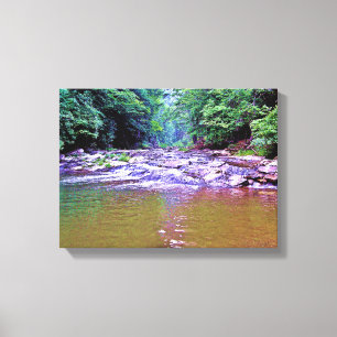 Pretty Mountains Creek Swimming Hole Canvas Print