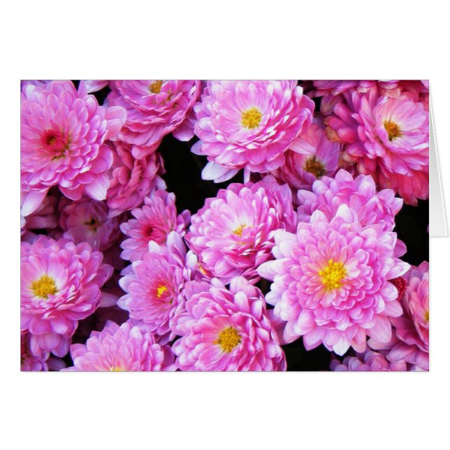 "Pretty Mums" (Front Horizontal)