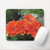 Pretty Orange Daisy Photography