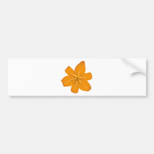 Pretty orange flower bumper sticker
