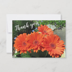 Pretty Orange Gerbera Daisy Photo Handwritten Tha Thank You Card