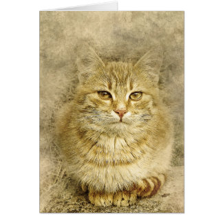 Pretty Orange Kitty | Abstract | Watercolor
