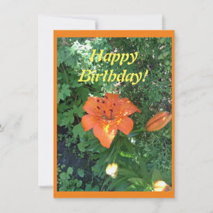 Pretty orange lily Birthday Card