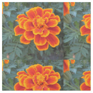 Pretty Orange Marigold Fabric
