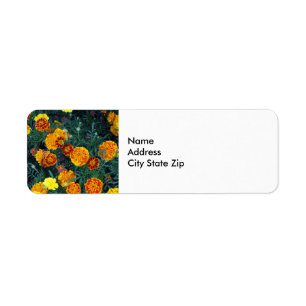 Pretty Orange Marigolds Floral Photo