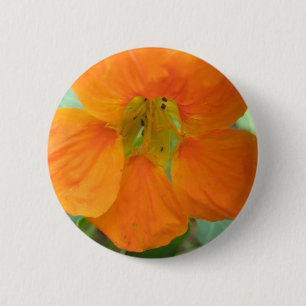 Pretty Orange Nasturtium Flower Button