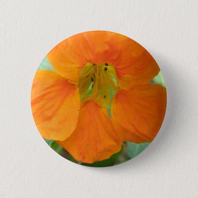 Pretty Orange Nasturtium Flower Button (Front)