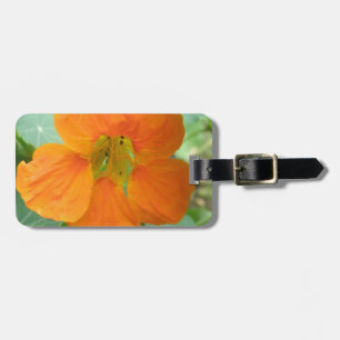 Pretty Orange Nasturtium Flower Custom Luggage Tag