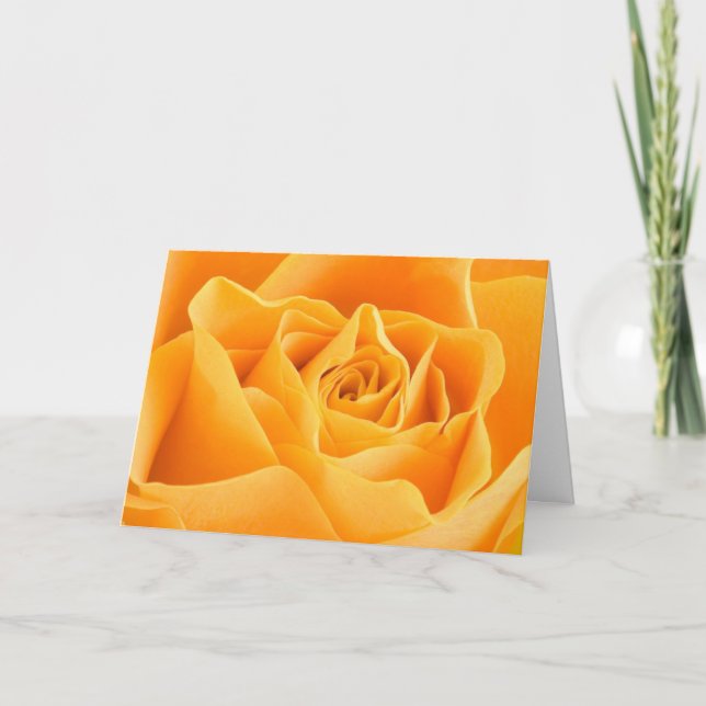 Pretty Orange Rose Greetings Card (Front)