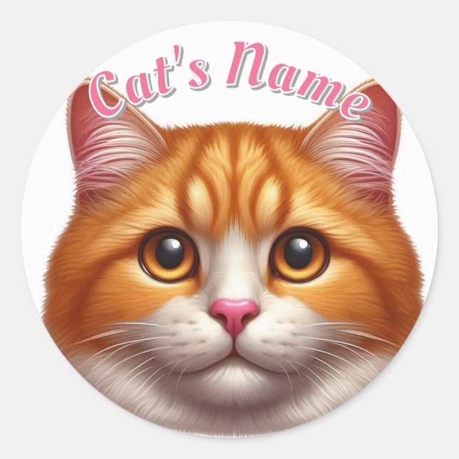 Pretty Orange Tabby Cat • Personalised Classic Round Sticker (Front)