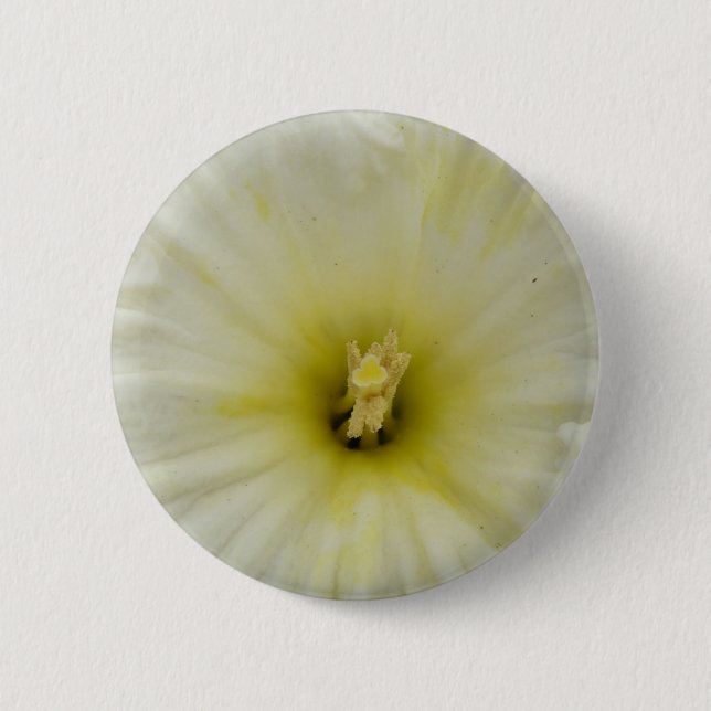 Pretty Pale Daffodil Button (Front)