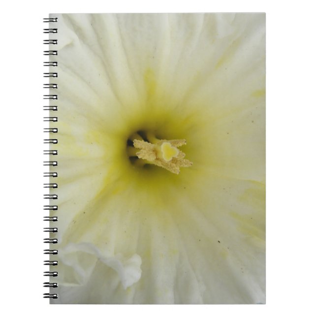 Pretty Pale Daffodil Notebook (Front)