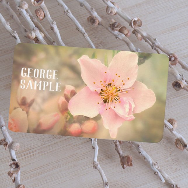 pretty pale pink dreamy flower photography business card (Creator Uploaded)
