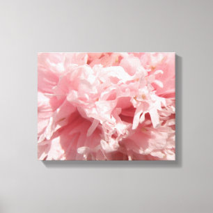Pretty Pale Pink Poppy Canvas Print