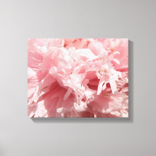 Pretty Pale Pink Poppy Canvas Print (Front)