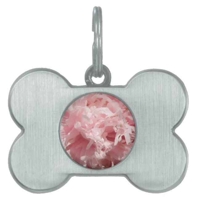Pretty Pale Pink Poppy Pet Tag (Front)
