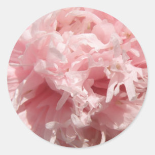 Pretty Pale Pink Poppy Stickers
