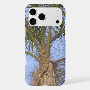 Pretty Palm Tree Close-up