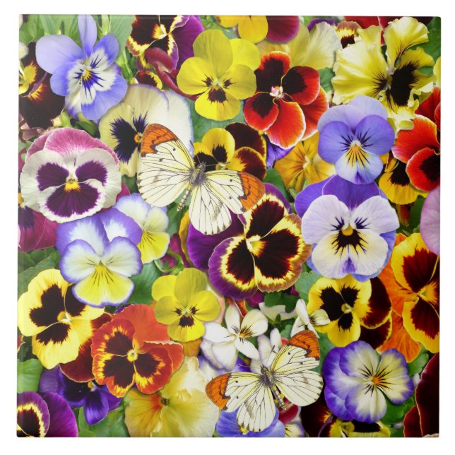 Pretty Pansies and butterflies Tile (Front)