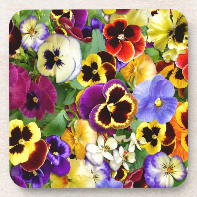 Pretty Pansies Coaster (Front)