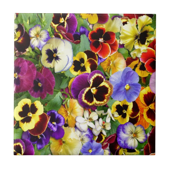 Pretty Pansies Tile (Front)