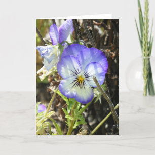 "Pretty Pansy" Card