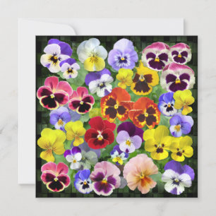 Pretty Pansy Collage Custom Text 