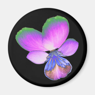 Pretty Pansy Magnet