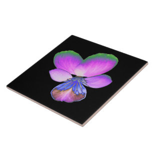 Pretty Pansy Tile