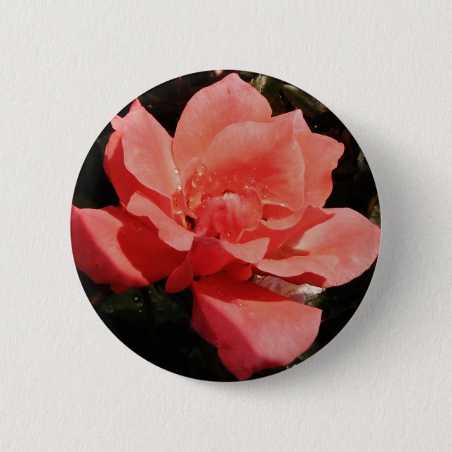 Pretty Peach Pink Rose floral 6 Cm Round Badge (Front)