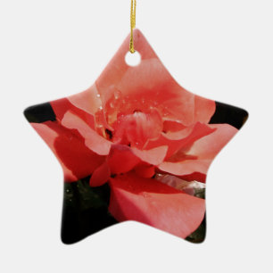 Pretty Peach Pink Rose floral Ceramic Tree Decoration