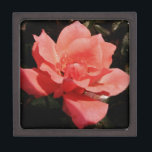 Pretty Peach Pink Rose floral Jewellery Box<br><div class="desc">Peach Pink Rose Beautiful photo of a peachy pink rose by Artist Sandra Marie Closs. Add your own text, name or monogram to create the perfect product for any occasion. Wedding, bridal party garden party, sympathy , birthday, baby shower, any celebration or just to make your day a little bit...</div>