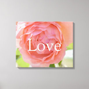 Pretty Peach Rose Love Canvas Print