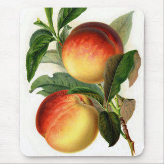 Pretty Peaches Mouse Pad