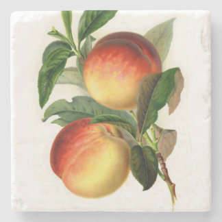 Pretty Peaches Square Stone Coaster
