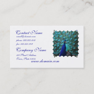 Pretty Peacock Business Card
